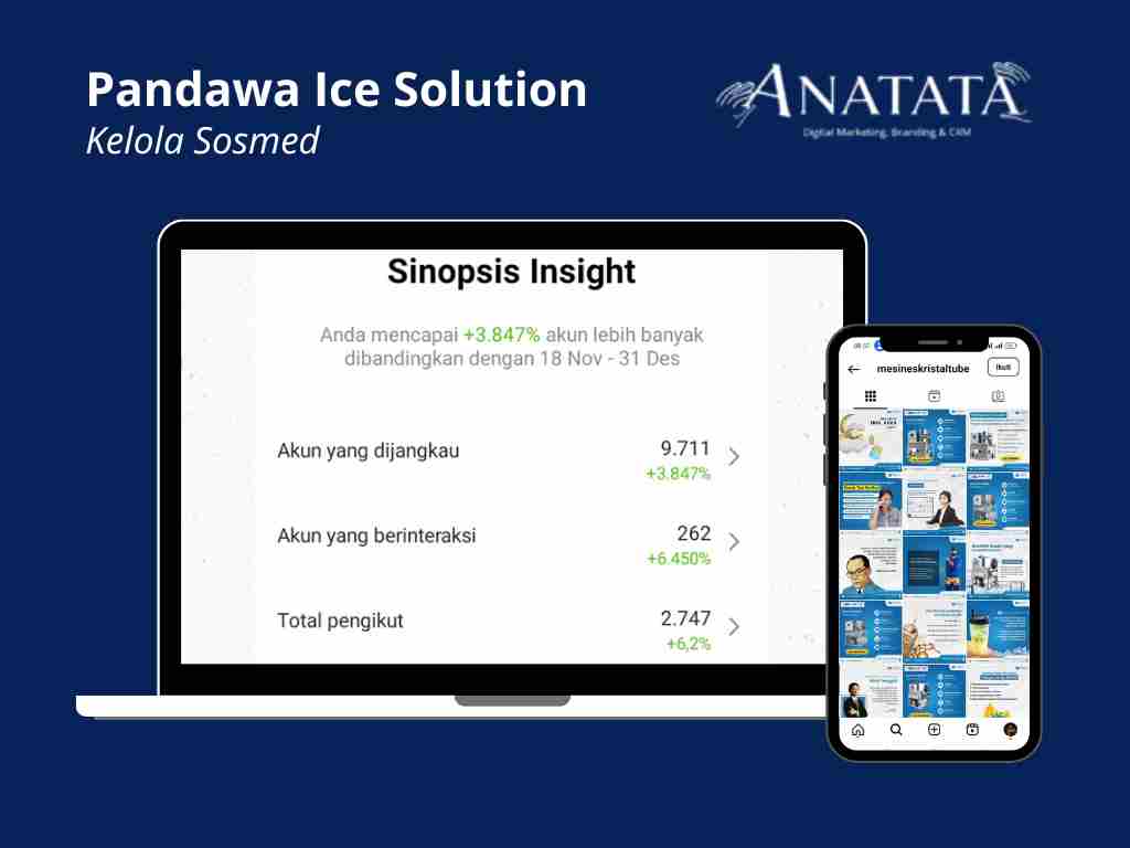 Portfolio Jasa Kelola Sosial Media Pandawa Ice Solution