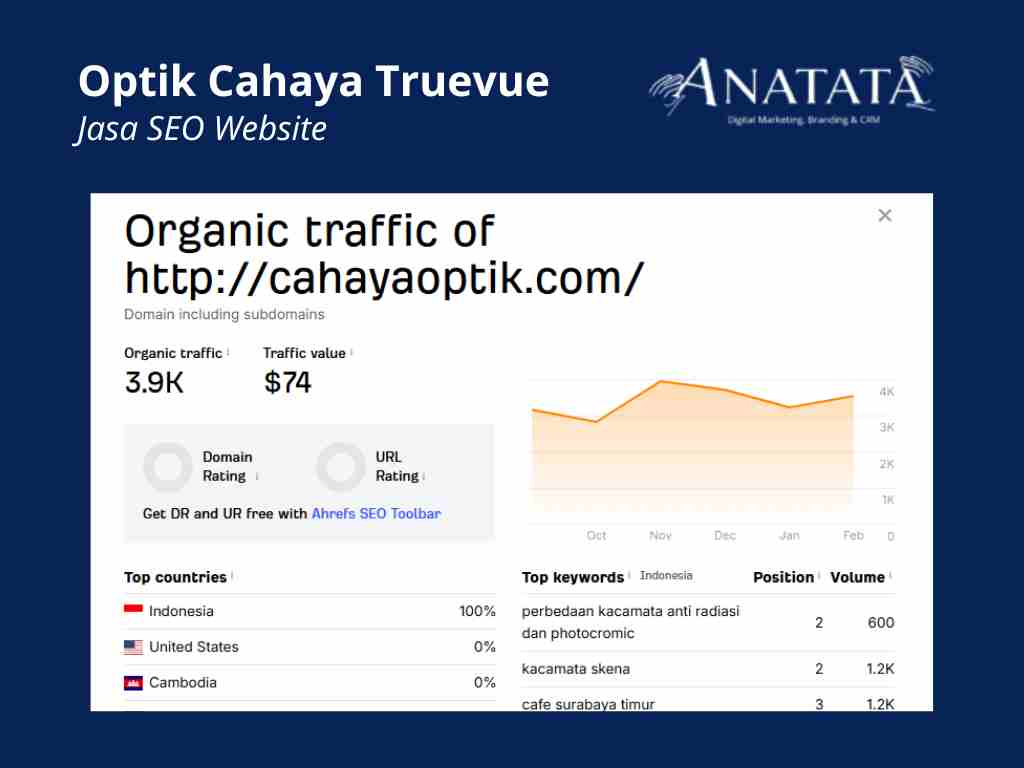 Portfolio Jasa SEO Website Optik Cahaya Truevue